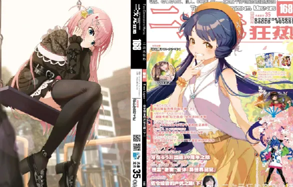 动漫期刊:《二次元狂热》《动感新时代》《绝对领域》合集下载