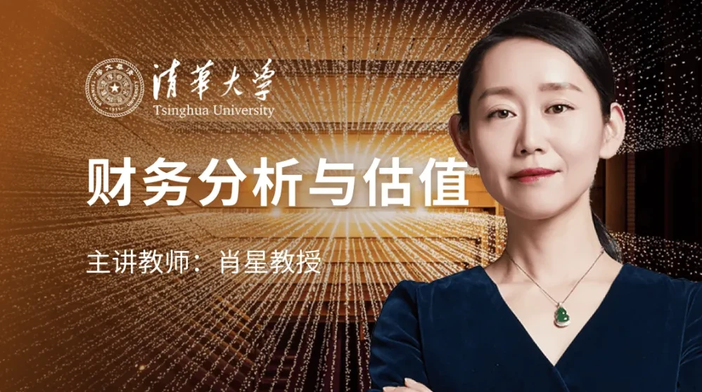 肖星财务分析与估值实战课