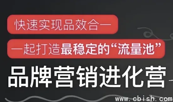 品牌营销进化营