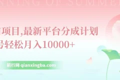 最新平台分成计划，风口项目，单号月入10000+
