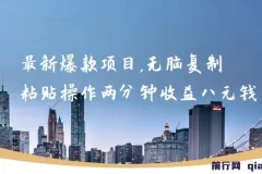 最新爆款项目，无脑复制粘贴，操作两分钟收益八元钱，无限操作执行就有