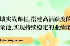 【精】成人私域实战课程，搭建高活跃度的私域流量池，实现持续稳定的业绩增长