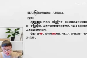 文言文入门必修课：20节精讲+40篇经典带读