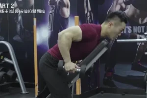 麦大湿14天倒三角身材训练计划