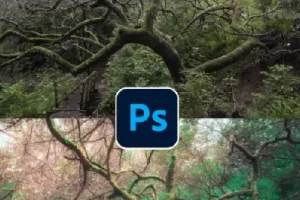 TDn老师PS高级后期设计进阶课