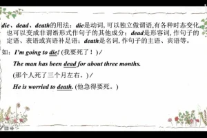 2024盖老师119节英语语法课：从冠词到从句一站式掌握