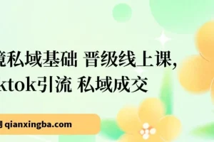 【精】跨境私域基础+晋级线上课，Tilktok引流+私域成交