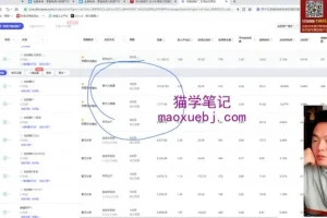 淘宝虚拟品爆款实战课：选品+付费推广+规避违规