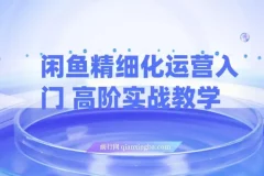 【精】闲鱼精细化运营入门+高阶实战教学，闲鱼卖货整体运营思路，零成本零风险轻创业电商项目