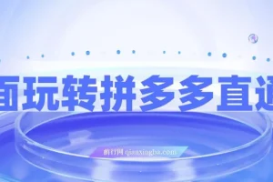 全面玩转拼多多直通车，新老店铺都适用的玩法