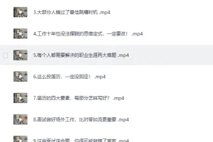 《B站付费课程：职场生存图鉴：拿下令你心动的offer》[MP4]