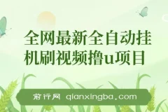 全网最新全自动挂机刷视频撸u项目 【最新详细玩法教程】