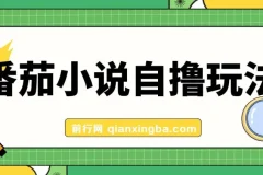 番茄小说自撸玩法！不看播放量！不看视频质量！每天1000+
