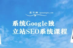 系统Google独立站SEO系统课程