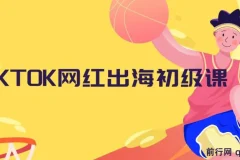 TIKTOK网红出海初级课