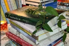 【100本精选生活实用图书合集，提升技能与生活品质】