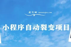 【小程序自动裂变项目】全自动推广，收益在500-2000+