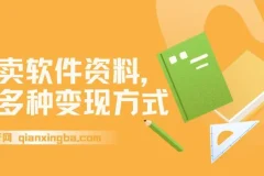 卖软件资料，新手也能当天见收益，多种变现方式