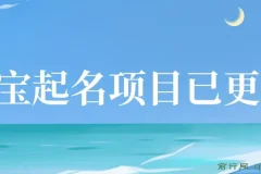 短视频幼儿宝宝起名项目，全程投屏实操，赠送配套软件