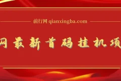 全网最新首码挂机，带有管道收益，轻松日入1000+无上限