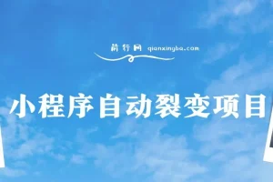 【小程序自动裂变项目】全自动推广，收益在500-2000+