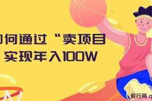 2024年如何通过“卖项目”实现年入100W