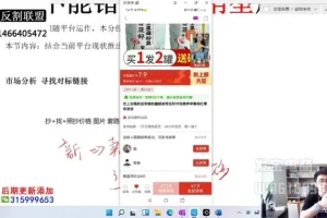拼多多爆款运营实战课：市场分析+推广优化+自然流量提升