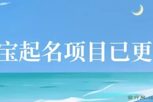 短视频幼儿宝宝起名项目，全程投屏实操，赠送配套软件