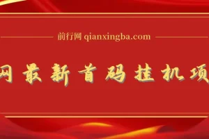 全网最新首码挂机，带有管道收益，轻松日入1000+无上限