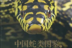 《中国蛇类图鉴》上下册 中国野生蛇类245种