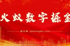 火蚁数字掘金，全自动挂机日收益300+，每日手打1小时收益1000+