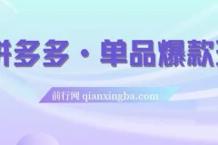 拼多多·单品爆款班，一个拼多多超级爆款养一个团队（5节直播课）