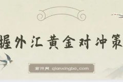 掌握外汇黄金对冲策略，日赚 800 – 2000，小众高回报创业机会，助你实
