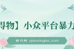 【得物】小众平台暴力玩法，一键搬运爆款视频，可矩阵，小白无脑操作