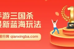 手游三国杀最新蓝海玩法，简单粗暴，无需复杂的操作和技术，看完即可上手