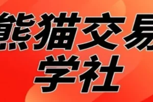 熊猫交易学社黄金VIP系统课：日常加钟小段