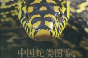 《中国蛇类图鉴》上下册 中国野生蛇类245种
