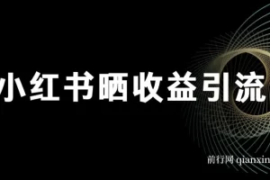 小红书晒收益图引流垂直项目粉日引200+