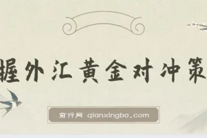 掌握外汇黄金对冲策略，日赚 800 – 2000，小众高回报创业机会，助你实