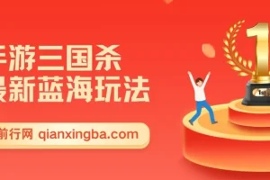 手游三国杀最新蓝海玩法，简单粗暴，无需复杂的操作和技术，看完即可上手