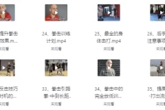 【杰森拳击高清系统教学中英字幕】
