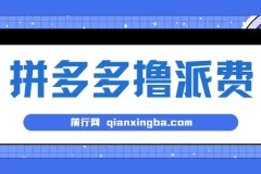 拼多多撸派费，2024最暴利的项目。软件全自动运行，日下1000单。每天利润500+，免费
