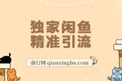 独家闲鱼引流技术，日引300＋实战玩法