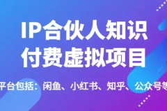 IP合伙人知识付费虚拟项目