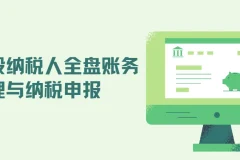 一般纳税人全盘账务处理与纳税申报