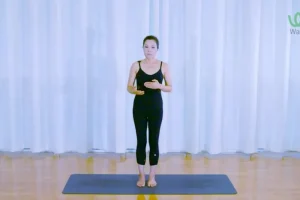 杨淇五行经络瑜伽课：疏通经络养生术