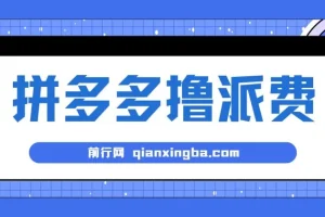 拼多多撸派费，2024最暴利的项目。软件全自动运行，日下1000单。每天利润500+，免费