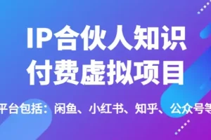 IP合伙人知识付费虚拟项目