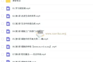 安智深 高中生物 2026高一生物 尖端暑假班 更新中