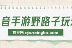 抖音手游野路子玩法，单视频收益4000+，日入几千轻轻松松